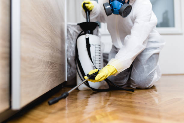 Best Pest Control Treatment  in Ocilla, GA