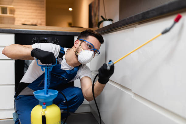 Best Wildlife Control Services  in Ocilla, GA