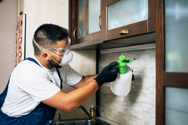 Trusted Ocilla, GA Pest Control Experts