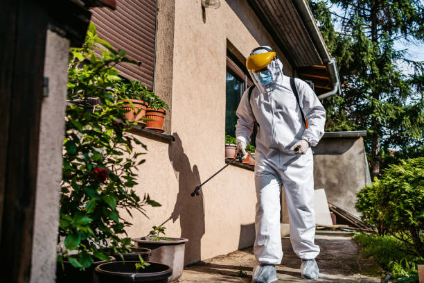 Best Local Pest Control Services  in Ocilla, GA