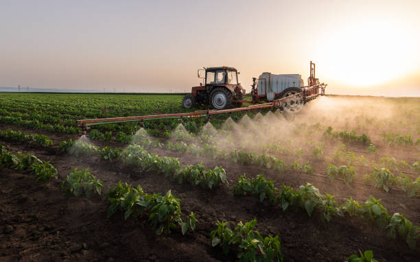 Best Pest Prevention Services  in Ocilla, GA