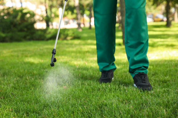 Best Flea Control Services  in Ocilla, GA