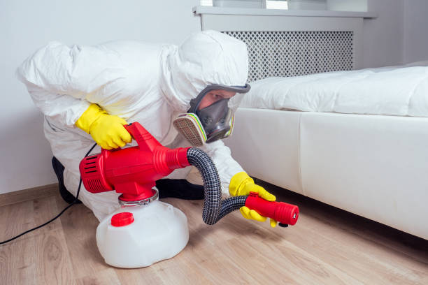 Best Flea Control Services  in Ocilla, GA