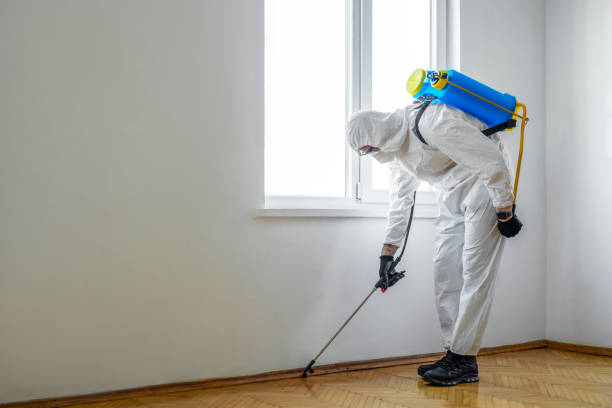 Best Pest Prevention Services  in Ocilla, GA