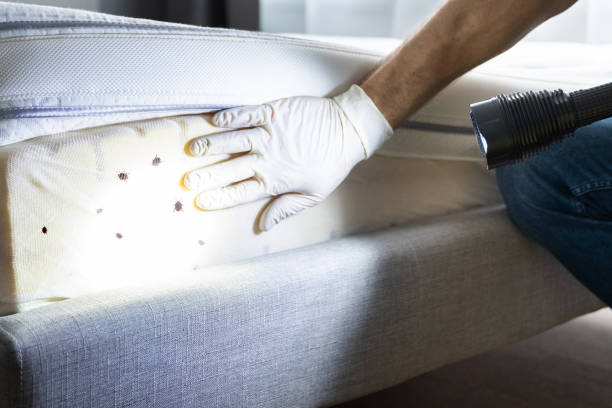 Best Residential Pest Control  in Ocilla, GA
