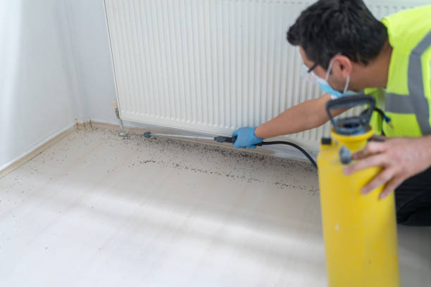 Best Exterminator Services  in Ocilla, GA