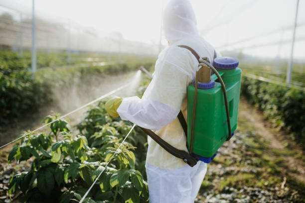 Best Best Pest Control Companies  in Ocilla, GA